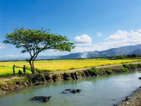 NUEVA ECIJA .